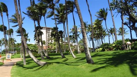 Hyatt Regency Maui | Million Mile Secrets