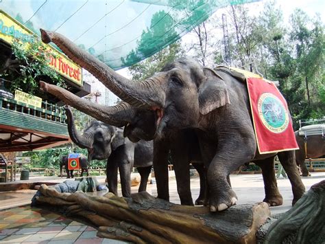 Tempat Wisata di Puncak Bogor dan Sekitarnya - 25 Wajib Dikunjungi