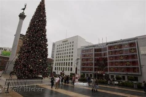 San Francisco Christmas Tree | Photo, Information