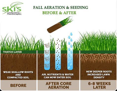 When and Why: The Benefits of Fall Aeration and Seeding - Upper St. Clair, PA Patch