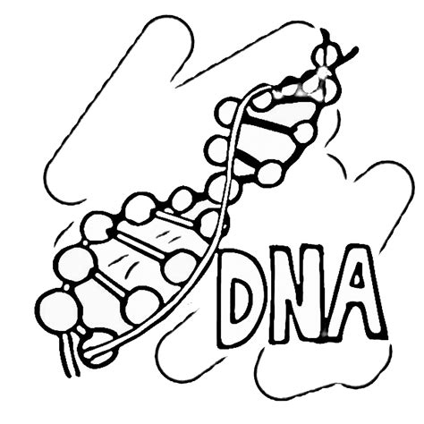 Dna Coloring Page At GetColorings Free Printable Colorings Pages 73984 | Hot Sex Picture