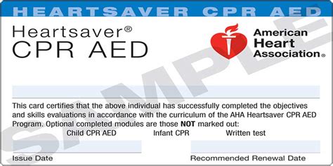 Pdf Printable Fake Printable Cpr Certification Card