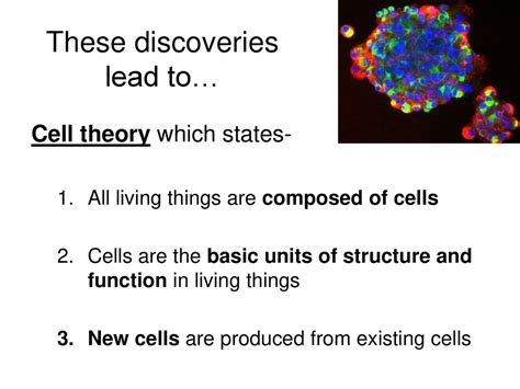 Cell Structure and Function - ppt download