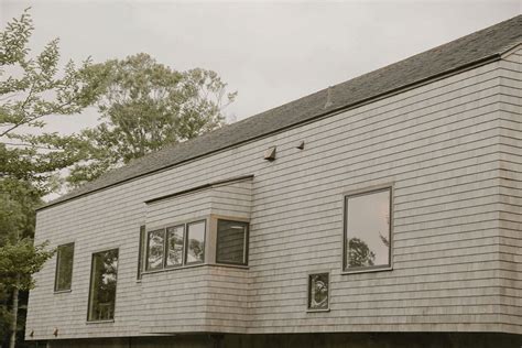 West Tisbury Woods — Nick Waldman Studio