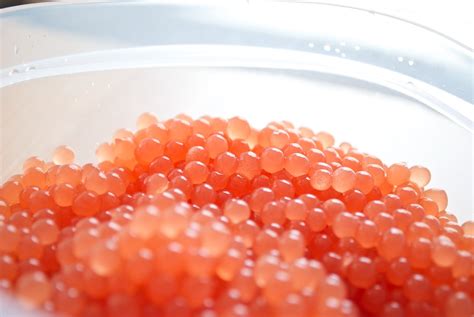 Molecular Gastronomy Fruit Caviar Recipe | Bryont Blog