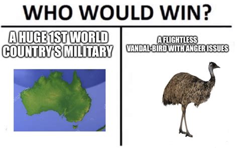 Emu war - Meme by Cocoamug :) Memedroid