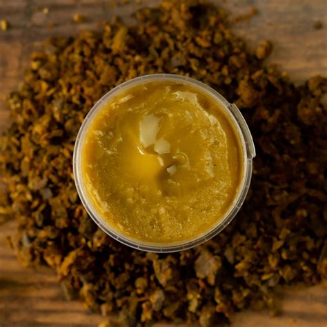 PROPOLIS in Organic HONEY 400g Jar Natural Unpasteurized Pure | Etsy