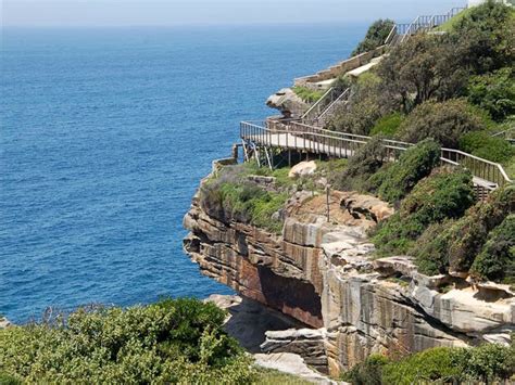 The Federation Cliff Walk | Sydney, Australia - Official Travel & Accommodation Website