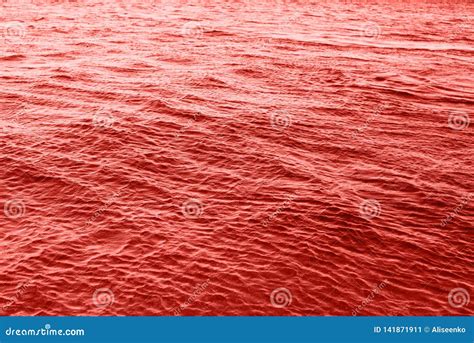 Coral Pink Ripples Water in Sea Ocean. Surface of Water in Nature Ocean. Stock Image - Image of ...