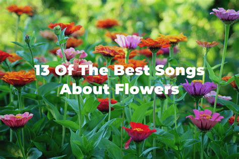 28 Of The Best Songs About Flowers: Floral Playlist