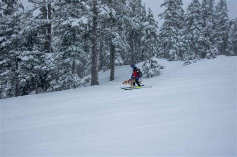 National Ski Patrol Day - Eaglecrest Ski Area