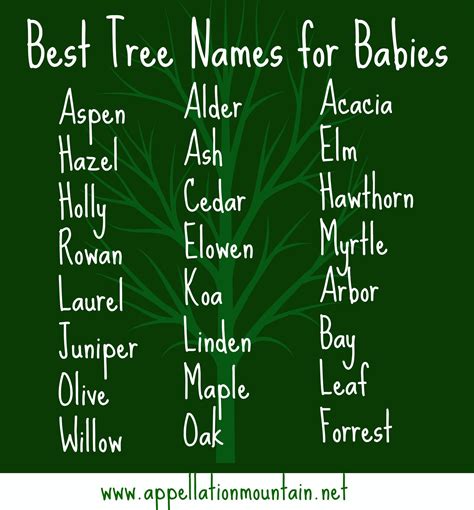 25 Fresh Names Of Trees