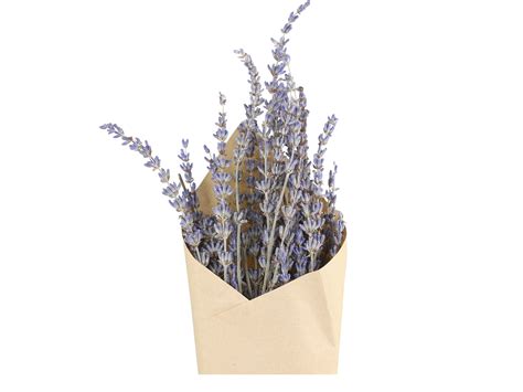 Dried Lavender Bouquet - The Lime House Mallow