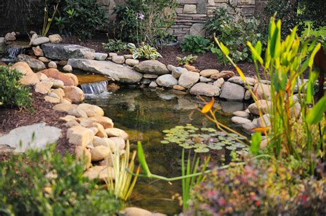 24 Stunning Koi Pond Design Ideas