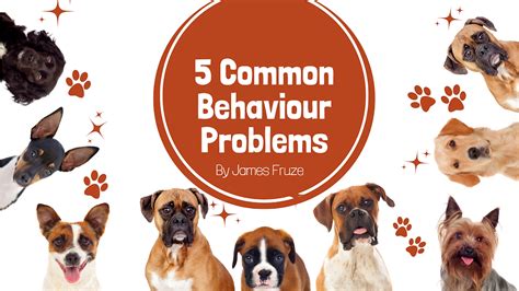 5 common dog behaviour problems