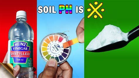 GARDEN SOIL PH TESTING - 3 EASY METHODS | BAKING SODA VINEGAR HACK V/S ...