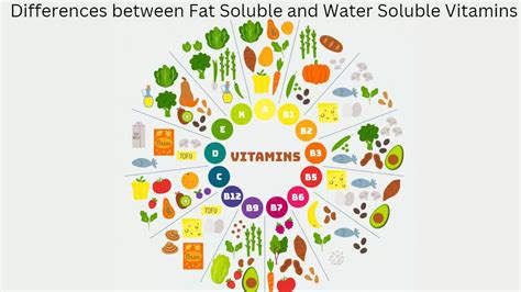 Difference between Fat-Soluble and Water-Soluble Vitamins