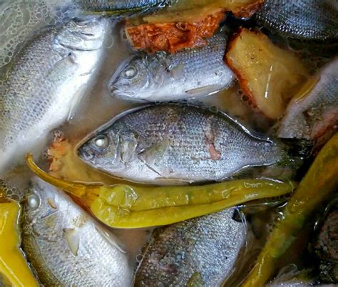 Paksiw na Ayungin ( Silver Perch cooked in vinegar, garlic, ginger & salt) | Fish recipes, Food ...