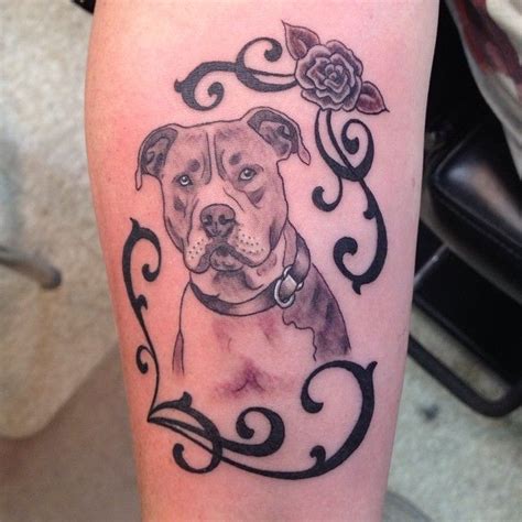 pitbull tattoos | Tattoos | Pinterest | Tattoo, Tattoo designs and ...