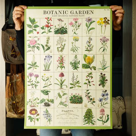 Botanic Garden Poster by Cavallini & Co. - RAM Shop