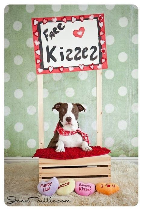 Pet Photography / Prop Ideas ♥ Puppy Love | Pet photography props, Dog ...