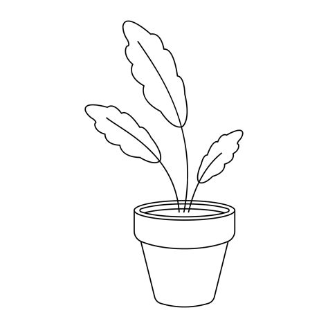 Premium Vector | Home plant in a pot vector illustration