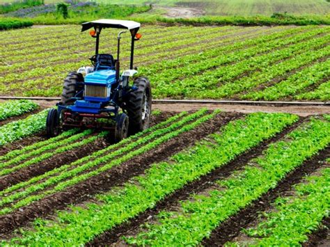 Growth and opportunities in India's agriculture sector - Jharkhand Rai ...