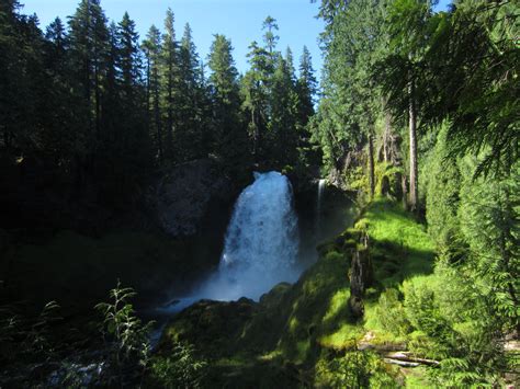 Waterfalls Loop Trail along the McKenzie River – Not Your Average Engineer