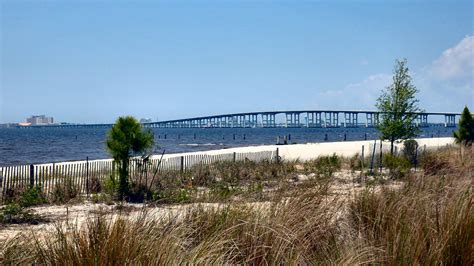 All Mississippi beaches closed as toxic algae bloom blankets state's coast