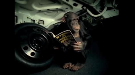 Trunk Monkey: A Look Into the Funniest Way to Protect Your Car