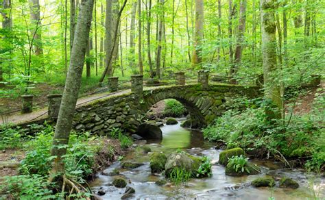 15 Best Things To Do in Cherokee NC That You Can’t Miss