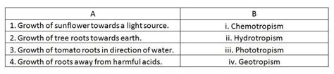 Tropic Movements In Plants- Different Types of Tropic Movements