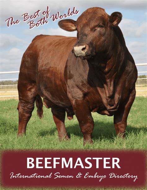 Beefmaster Breeders United