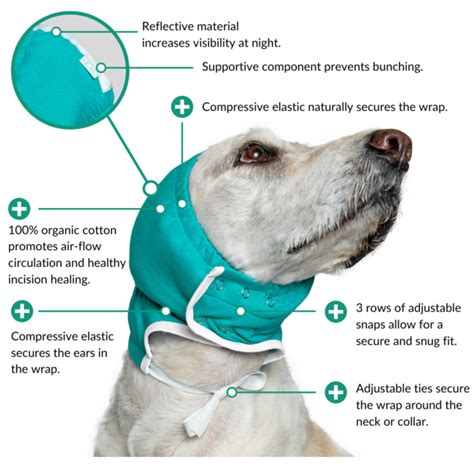 What Is A Hematoma In A Dog