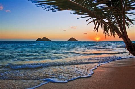 Hawaiide Gün Doğumu | Oahu beaches, Hawaii beaches, Hawaii pictures