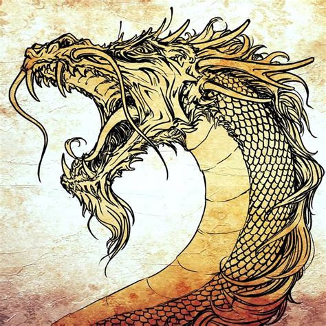 Dragon, roaring by AnataArts | Dragon pictures, Cool dragons, Art reference