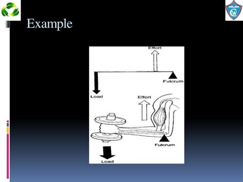 5. inertia, friction, levers