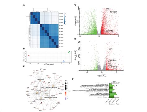 An IL10 cytokine network is mediated by IRE1-XBP1s signaling in RSV ...