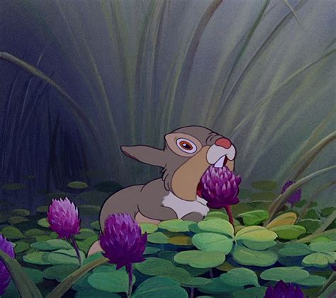 Thumper, bambi, bunny, disney, eating, flower, rabbit, HD wallpaper | Peakpx