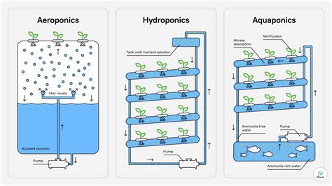 What are vertical farming systems? Here’s all you need to know