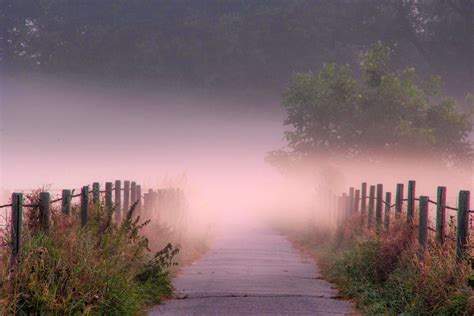 Purple fog and mist on the path image - Free stock photo - Public Domain photo - CC0 Images