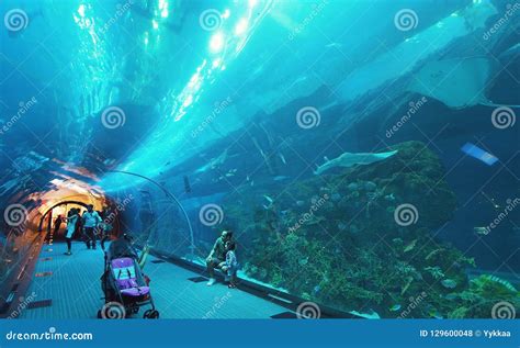 People Admire The Marine Life In The Glass Tunnel Of The Aquarium In ...