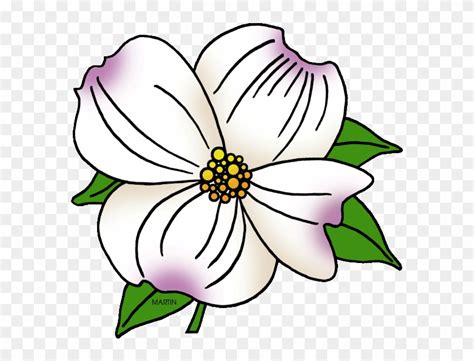 North Carolina State Flower - Dogwood Flower Coloring Page - Free ...