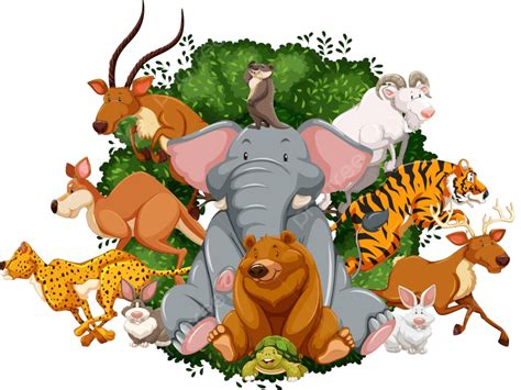 Wildlife Wildlife Carnivore Clipart Vector, Wildlife, Carnivore, Clipart PNG and Vector with ...