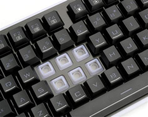 Mechanical Keyboard vs Membrane: Which One Should You Choose