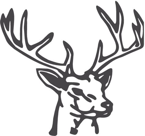 Monster 10 Point Buck Decal : Decal City, The ULTIMATE Decal Maker Shop