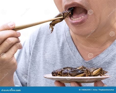 Food Insects: Man Eating Cricket Insect on Chopsticks. Crickets Deep ...