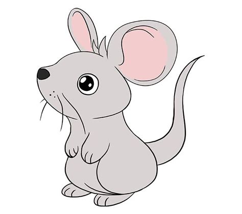 How to Draw a Cute Mouse - Step by Step Tutorial