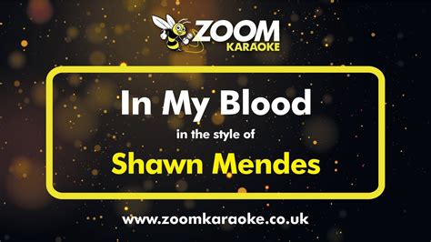 Shawn Mendes - In My Blood - Karaoke Version from Zoom Karaoke - YouTube