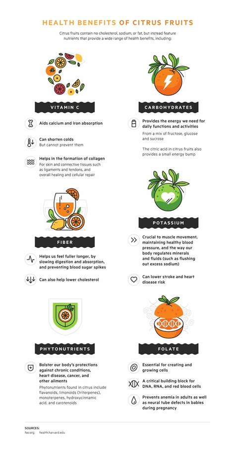 Health Benefits of Citrus Fruits | Citrus, Food facts, Health food